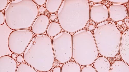 Transparent Cosmetic Gel Fluid with Molecule Bubbles Oil Distribution Bubble Cluster Cells Under a