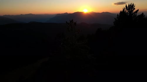 Aerial View of a Beautiful Sunset Over a Mountain Range and a Tree in the Foreground