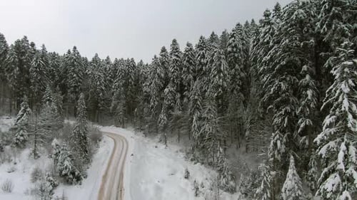 Vista aérea de una carretera remota en Wintry Woods