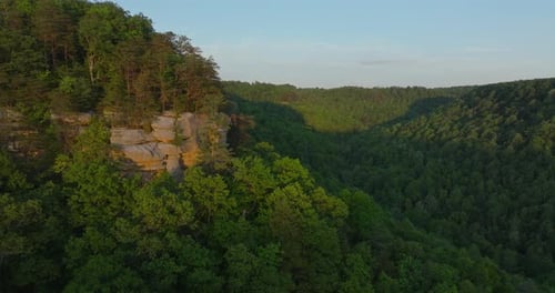 Vue aérienne à couper le souffle sur les forêts verdoyantes et les falaises rocheuses
