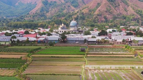 Aerial View of Lush Farmlands and Mosque in Lombok Indonesia