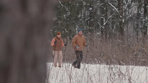 Elderly Couple Nordic Walking Together in Winter Forest