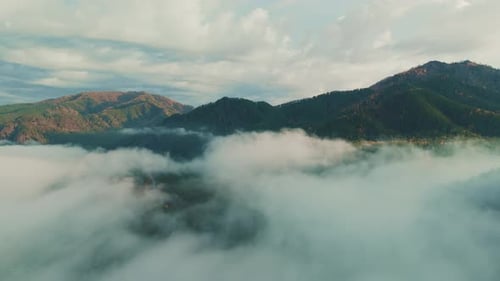 Breathtaking Morning Mist Envelops Mountains in Serene Landscape at Dawn