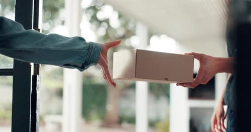 Hands, package and courier with delivery man, supply chain and logistics with friendly service