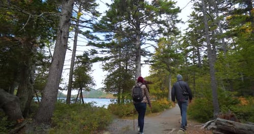 Couple Hiking Through Forest Along Water, Man Woman Slow Motion