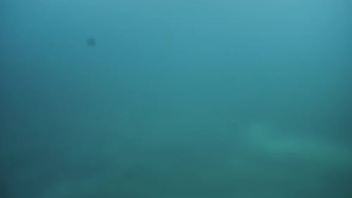 Abstract shot of swimming over the coral reefs and sea bottom lit by sun rays shining through ocean