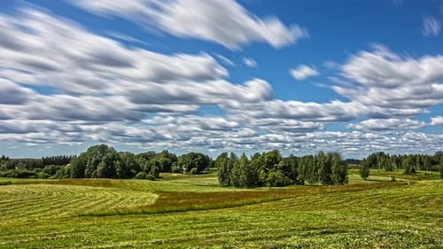 Zeitraffer eines grünen landwirtschaftlichen Feldes mit Kumuluswolken und blauem Himmel - Bewegungsunschärfe bei Langzeitbelichtung