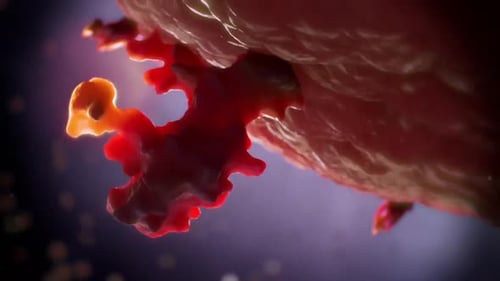 Vibrant red virus cells in microscopic view