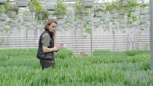 Woman Inspecting Flowers in Greenhouse