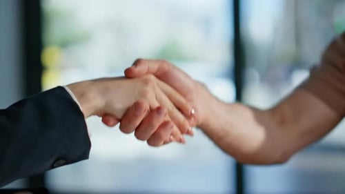 Unknown Business Partners Shaking Hands in Office Closeup Trustworthy Handshake