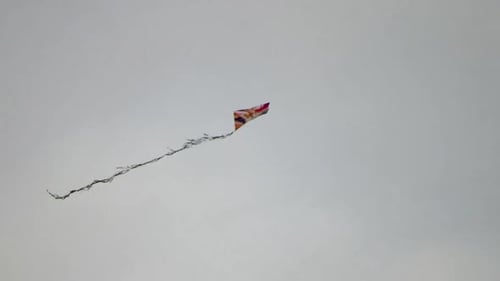 Red kite in cloudy day