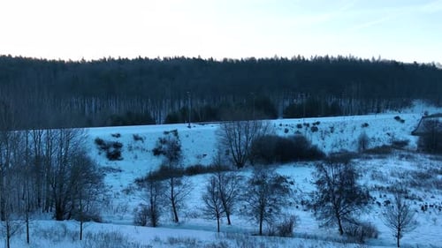 People Walking Along Snowy Path Through Winter Landscape