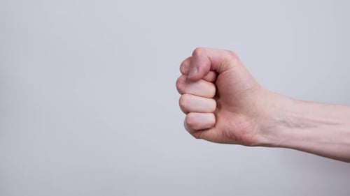 Hand in Fist Stopped by Other Hand