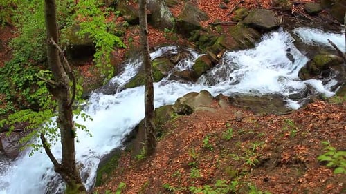 Waterfall Falling Among Stones at Autumn. Forest River Flowing in Mountainous Area