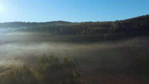 Aerial View Of Forest And Mountains Covered With Tick Fog At Sunrise.
