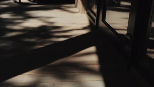 Schatten vom Ast: Blätter treffen auf den Holzboden, Zeitlupenaufnahme, Texturen, Holzboden