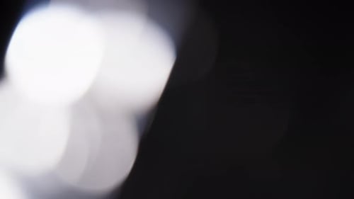 Blinking Bokeh of Defocused Foliage Particles in Black and White