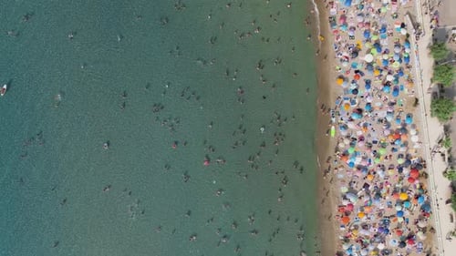 Aerial view of beach with umbrellas, Italy.
