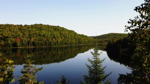 Zumbido emerge entre los árboles para revelar un lago prístino, que refleja perfectamente el bosque del