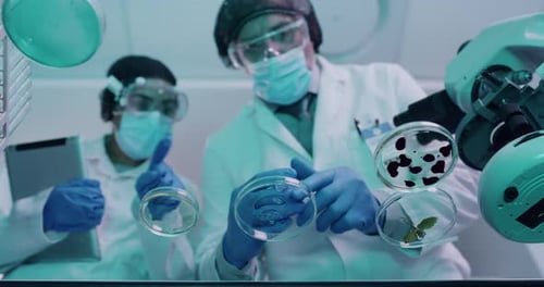 Scientists Working with Petri Dish in Modern Laboratory