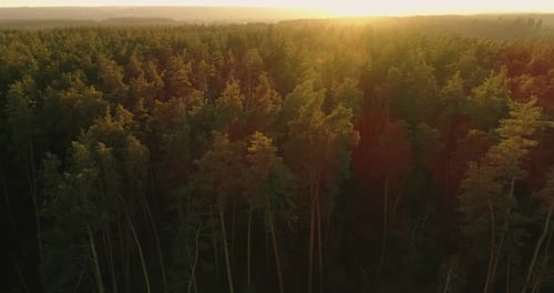 Vue par Drone Morning Magic Golden Hours Dawn