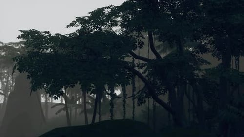 Deep Tropical Jungle in Darkness