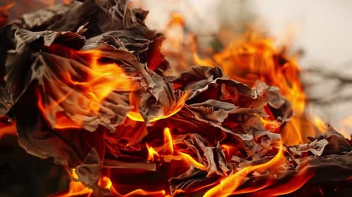 Close-up of burning paper with bright orange flames and charred. slow motion