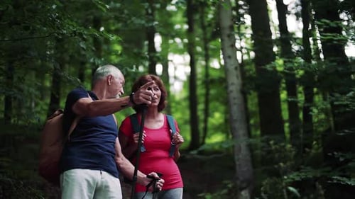 Senior Couple Hiking in Summer Woods