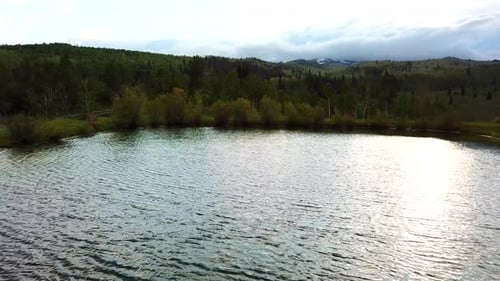 A drone shot of a pond surrounded by green trees and a meadow. (slow motion)