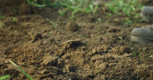 Cinematic Close Up Shot of Farmer Digging Soft Ground With a Shovel to Prepare