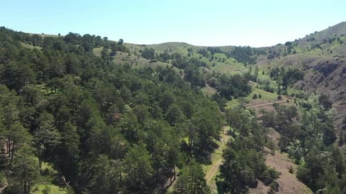 Vue aérienne des arbres, des collines verdoyantes et des routes