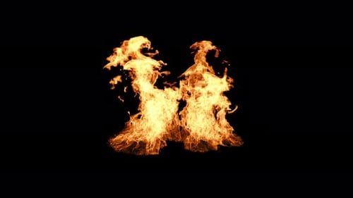 3.1 Fire 4K