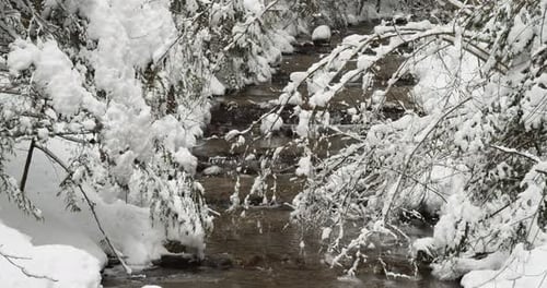 Water Flowing Between Snowy Trees At Kokanee Creek Provincial Park At Wintertime In BC, Canada. - ti