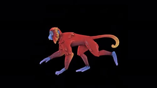 Colorful Stylized Monkey Walk Cycle Animation