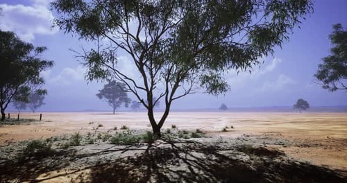Solitary Tree Stands Resilient Against the Vast Dry Landscape Under a Blue Sky