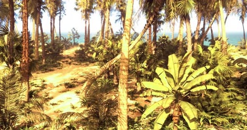 Lush Tropical Forest with Palm Trees and Vibrant Foliage Near the Ocean