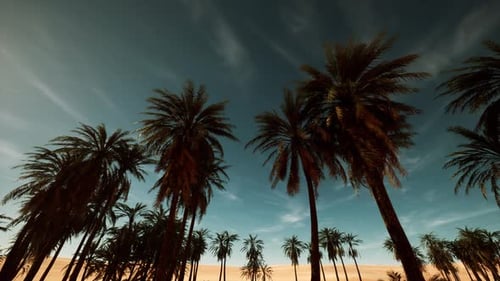 Desert Palm Trees Swaying Under Blue Sky Loop Animation