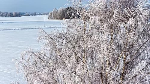 Snowy Winter Landscape: Aerial View of Frozen Fields