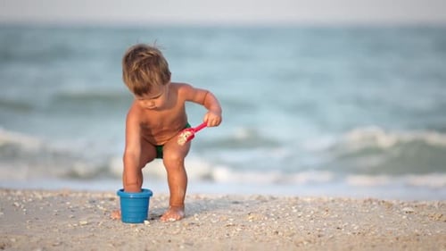 Kid Collects Shells and Pebbles in the Sea on a Sandy Bottom Under the Summer Sun on a Vacation