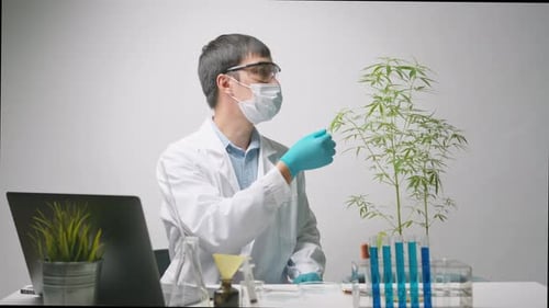 Scientist Examines Plant in Lab with Magnifying Glass