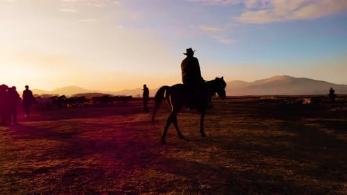 Horse and Rider Silhouette at Sunset