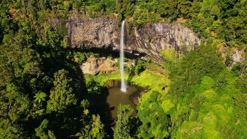 Aerial view of waterfall amidst lush trees, New Zealand.