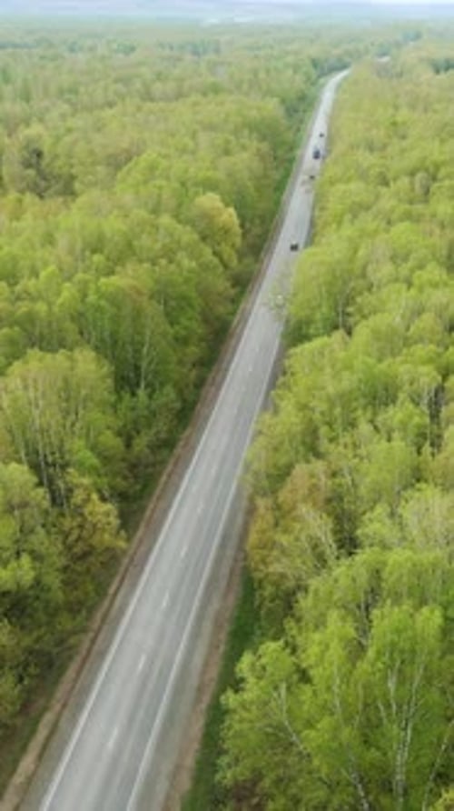 Aerial View of a Winding Road Through Vibrant Green Forest