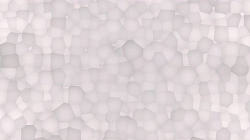 white background