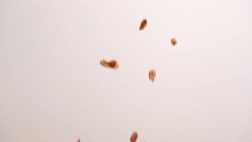 Pecans raining down and bouncing on white backdrop, whole and half nuts studio 4k