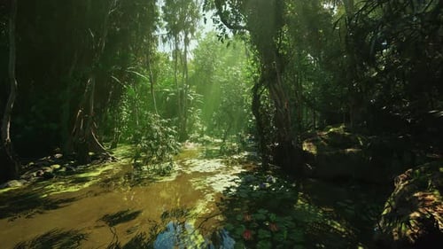 Sunshine Illuminating Peaceful Pond Surrounded By Lush Plants