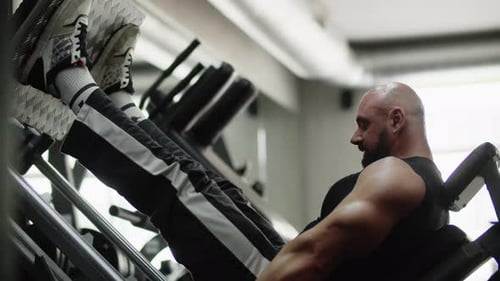 Man Bodybuilder Sideways in the Gym Training on the Machine Concentratedly Exercise for Leg Strength