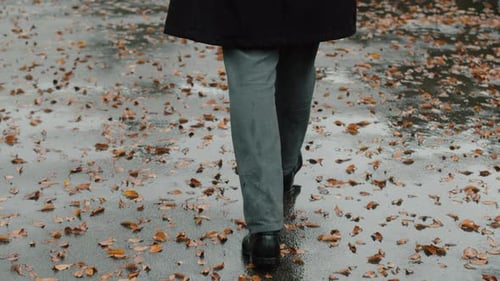Young Man in a Coat Walking on the Wet Asphalt of a City Street Which is Covered with Fallen Leaves