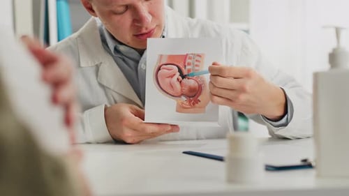 Obstétricien. Un médecin en blouse blanche explique l'état du fœtus sur un mini-modèle