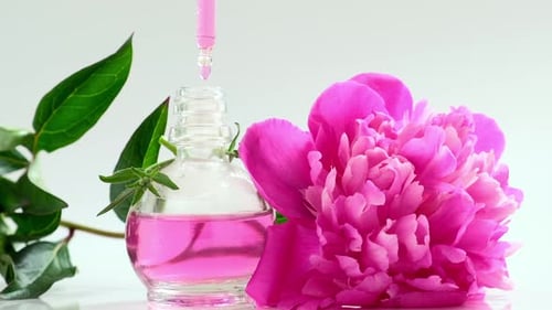 Parfümerie mit Pfingstrosenblüten. Blumenparfüm. Öl-Essenz mit Blumen